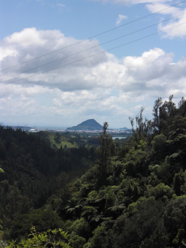 Da ist Mount Maunganui! Da war ich gestern drauf.