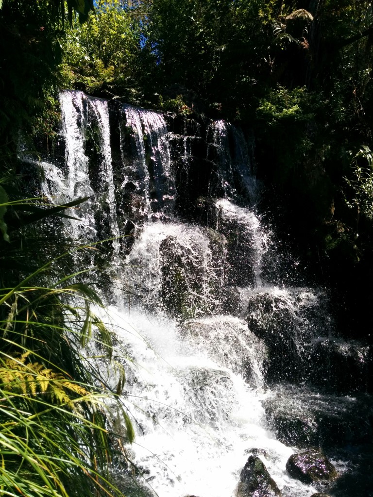 Auch in Rainbow Springs gibt es einen Wasserfall. Ob der natürlicher Herkunft ist wage ich allerdings zu bezweifeln.